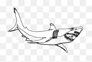 Download Largemouth Bass Fish Clip Art - Great White Shark Clipart ClipartFlare.com 