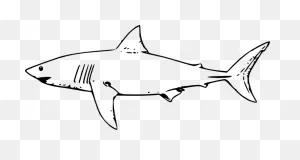 Great White Shark Clip Art At ClipartFlare ClipartFlare.com - Vector Clip Art Online ClipartFlare.com 