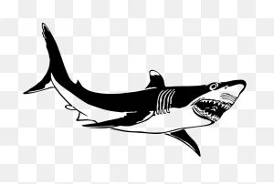 Great White Shark Clipart Baby - Custom Blue Bull Shark Shower ClipartFlare.com 