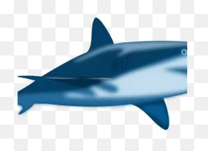 Shark Drawing - Google Search | Free Clip Art, Shark, Shark Drawing