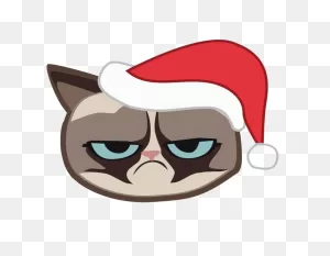 Grumpy Cat Face Png Clipart | 