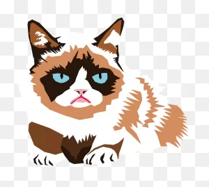 Grumpy Cat Clipart. Free Download Transparent .png | ClipartFlare