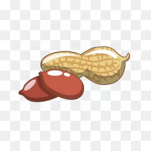 Cartoon, Food, Groundnut, Natural, Peanut, Peanuts, Shell Icon ClipartFlare.com 