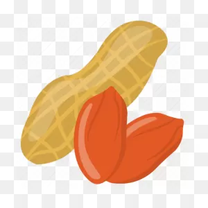 Dry Fruit, Goober, Groundnut, Peanuts, Walnut Icon - Download On ClipartFlare.com 