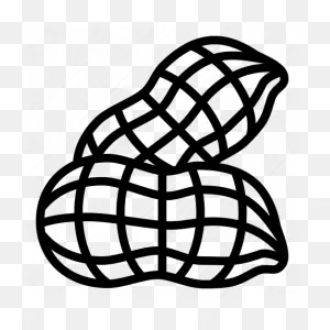 Groundnut, Nut, Peanut, Organic Icon - Download On Iconfinder