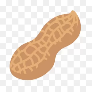 Groundnut Peanut Transparent Png | Png Play