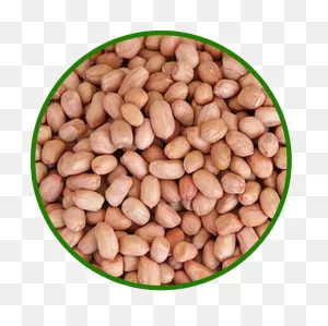 Peanuts Groundnut – Viji Foods