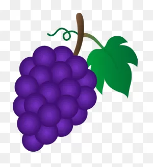 Free Purple Grapes Cliparts, Download Free Purple Grapes Cliparts ClipartFlare.com 