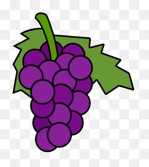 Grapes Clipart 3 - ClipartFlare
