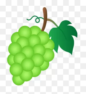 Internet | Grapes, Fruit, Green Grapes