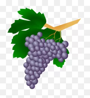 Wine Grapes Free Clipart Images - ClipartFlare ClipartFlare.com