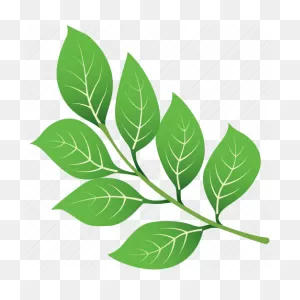 Green, Leaf, Leaves, Nature, Tree, Tropical Icon - Download On Iconfinder