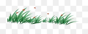 17 Grass Ideas | Grass, Png Images, Black And White Tree