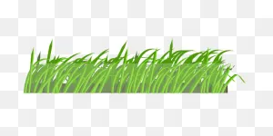 Dew On The Grass, 162.7 Kbyte, V.0.2, Bc-66