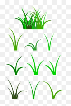 Download Hd Grass Clip Art - Cartoon Blades Of Grass Transparent ClipartFlare.com 
