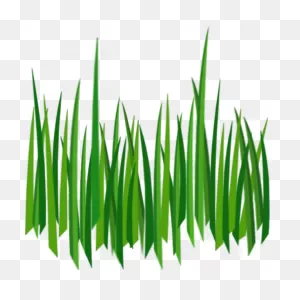 17 Grass Ideas | Grass, Png Images, Black And White Tree