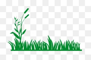 Grass Vector Background | Grass Clipart, Grass Vector, Grass ClipartFlare.com 
