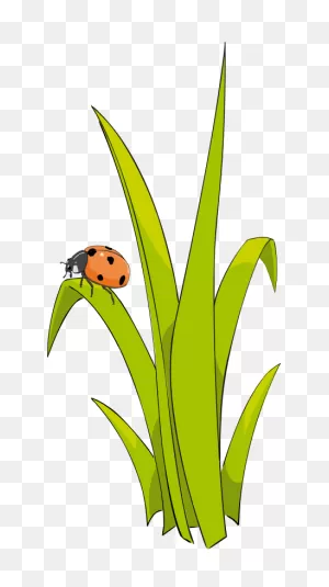 Grass Free To Use Cliparts | Grass Drawing, Grass Clipart, Clip Art