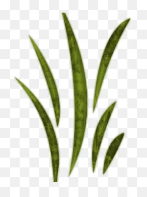 Sea Grass Clipart Wild Grass - Leaf Clipart - Png Download - Full ClipartFlare.com 
