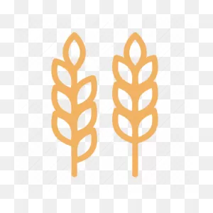 Crop, Food, Grain, Oats, Wheat Icon - Download On Iconfinder