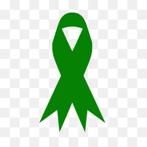 Green Ribbon Icon - Free Green Ribbon Icons