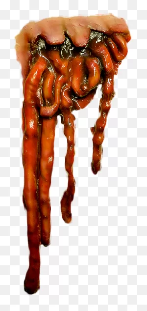 Prosthetic Hanging Guts - Hanging Entrails Clipart - Full Size ClipartFlare.com 