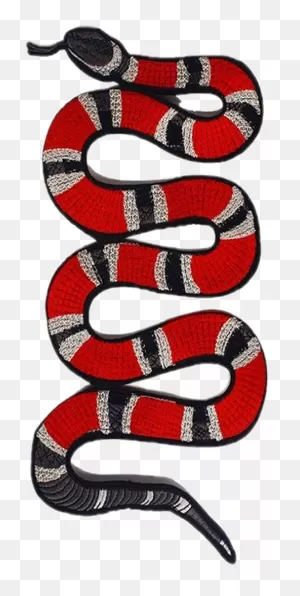Gucci Snake Guccisnake 240458017030212 By @sofikookmin