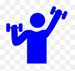 My Gym Workout — Office Worker Health