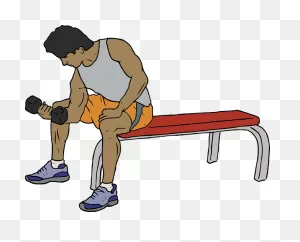 My Gym Workout — Office Worker Health