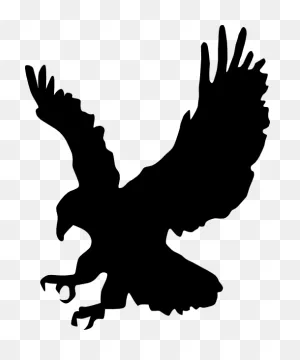 Cartoon Hawk Clipart Clipart Kid 2 - ClipartFlare