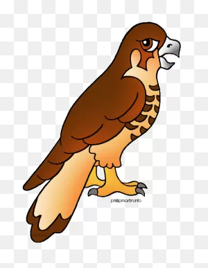 Hawk Clip Art Animal Hawk Gif #o8Oifq - Clipart Suggest