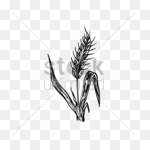Hay Clipart Wheat Bunch, Hay Wheat Bunch Transparent - Hay Bunch ClipartFlare.com 