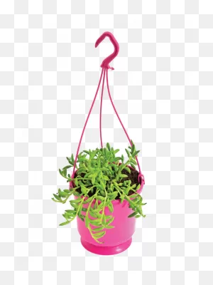 130Mm Assorted Hanging Basket - Flowerpot Clipart - Large Size Png ClipartFlare.com 