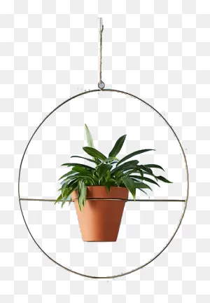 Hanging Plant Royalty Free Vector Clip Art Illustration -Vc043908 ClipartFlare.com 