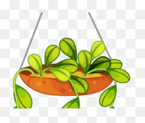 Indoor And Outdoor Gardening For Plant Parents - Start Your ClipartFlare.com 