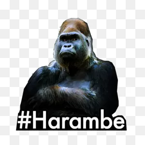 Harambe Iphone 12 Case