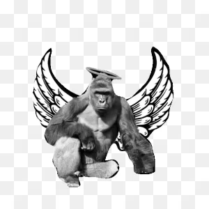 Harambe Sticker By Imoji