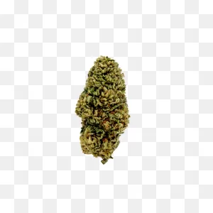 Honolulu Haze – The Green Room Nj