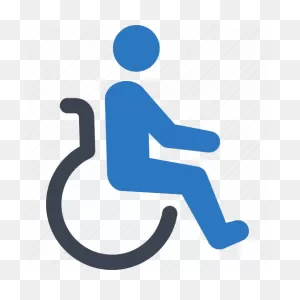 Handicap