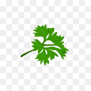 Garden Parsley, Herbs, Parsley, Plant, Seasoning, Spices, Vegetable ClipartFlare.com 