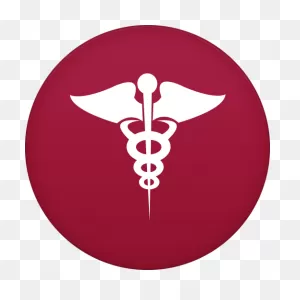 Health Free Icon Of Circle Addon 2 Icons