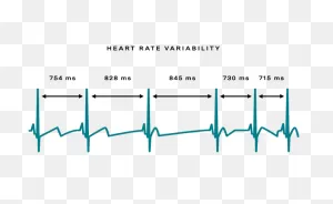 What Is Hrv? - Healthy Heart Rate Variability & How To Track It