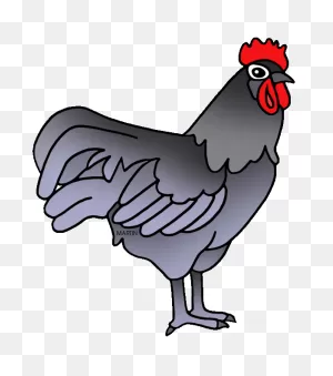 Animals Clip Art By Phillip Martin, Blue Hen Chicken
