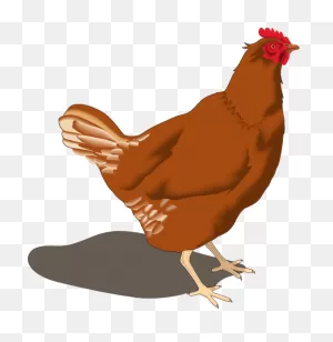 Hen Clip Art - Brown Chicken Clip Art - Png Download - Full Size ClipartFlare.com 