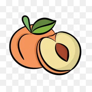 Apricot, Food, Fruit, Healthy Food, Peach Icon - Download On Iconfinder