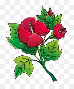 Hibiscus Clipart. Free Download Transparent .png | ClipartFlare
