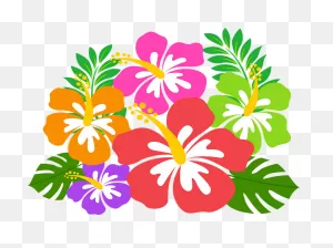 Hibiscus Flowers Clipart. Free Download Transparent .png | ClipartFlare