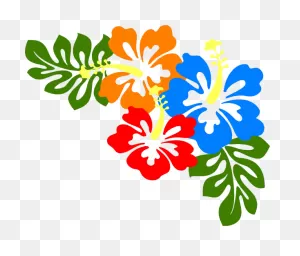 Keanu S Hibiscus PNG-WebP Clip Arts - Transparent Hawaiian Flower ClipartFlare.com 