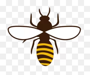 Honey Bee Clipart. Free Download Transparent .png | ClipartFlare