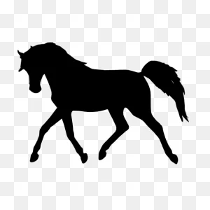 Arabian Horse Silhouette Standing Horse - Horse Silhouette Png ClipartFlare.com 